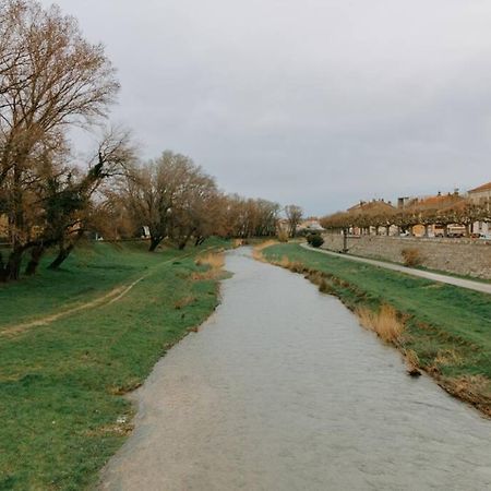 Les Berges Du Roubion Studio Cosy Et Moderne Montélimar المظهر الخارجي الصورة